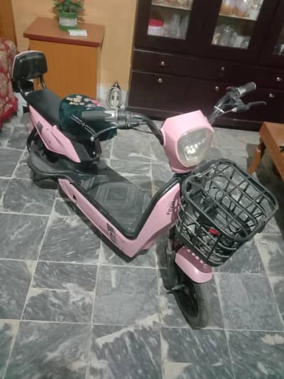 scooty
