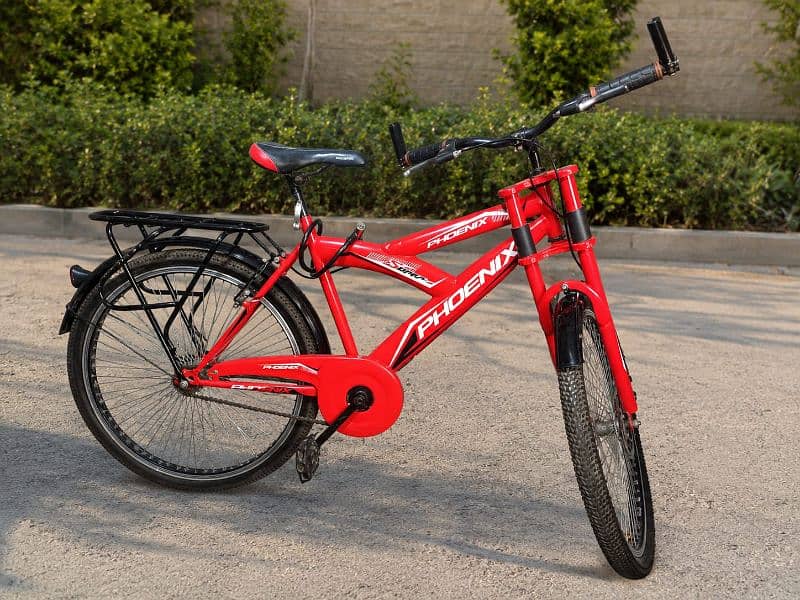 bicycle 2