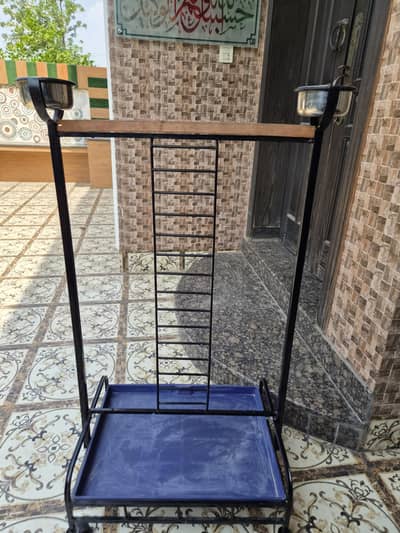 Parrot stand