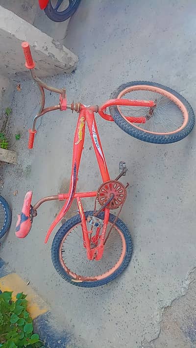 American cycle