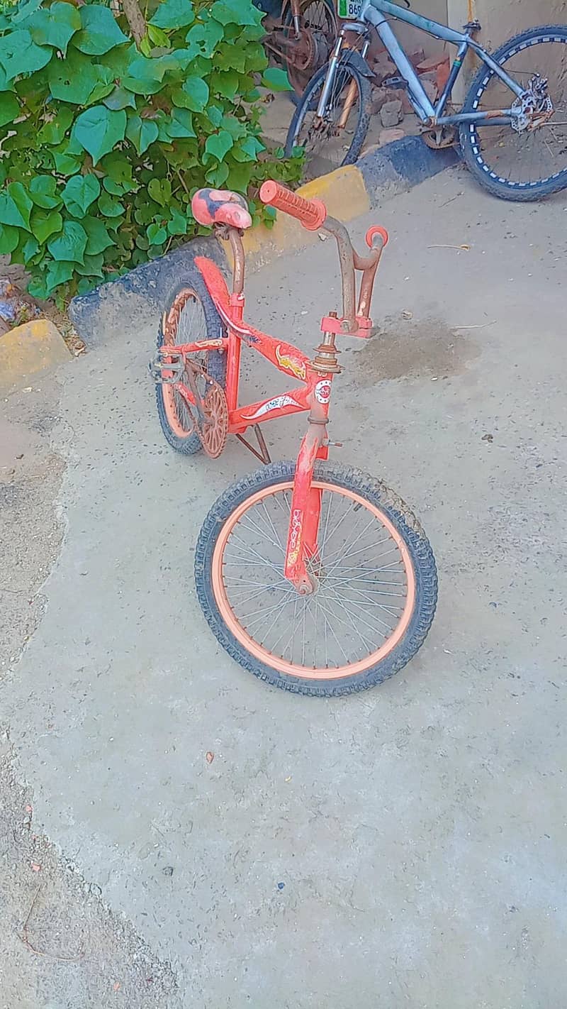 American cycle 1