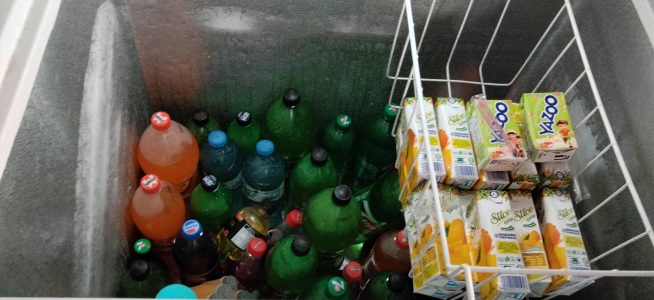 freezer 1
