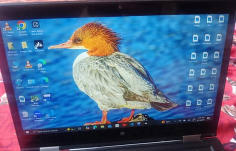 Lenovo X1 Carbon Core i5 6th Gen | 8GB RAM | 256GB SSD | Touch Screen