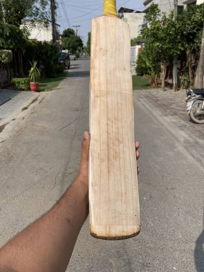 English willow cricket bat