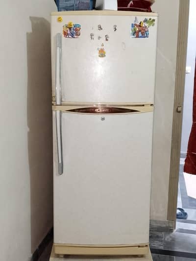Fridge waves