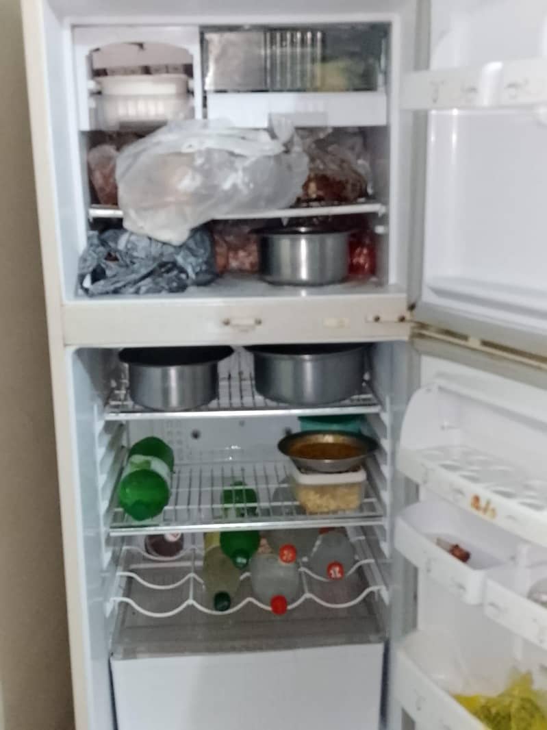 Fridge waves 2