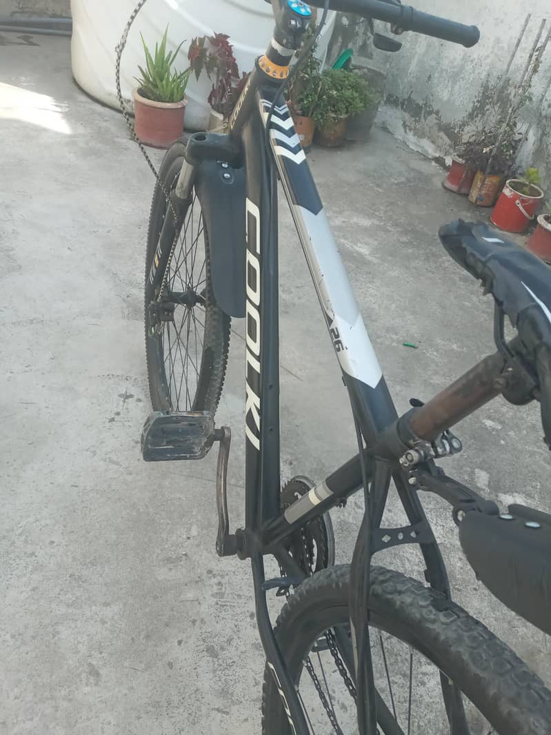 Cycle 4