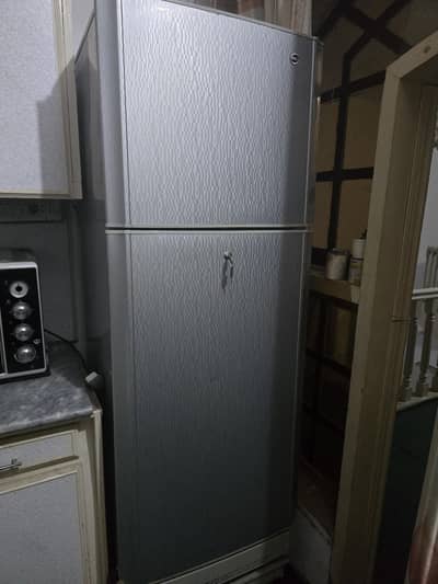 PEL Full size Refrigerator