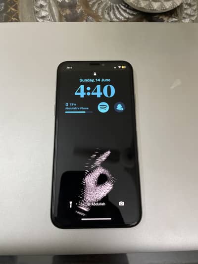 Apple iPhone X