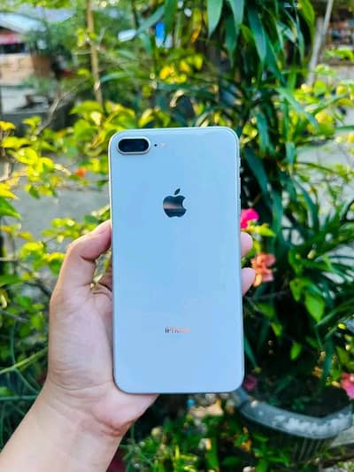 Iphone 8plus pta approved 256gb My Whatsapp number 0341-15-94-140