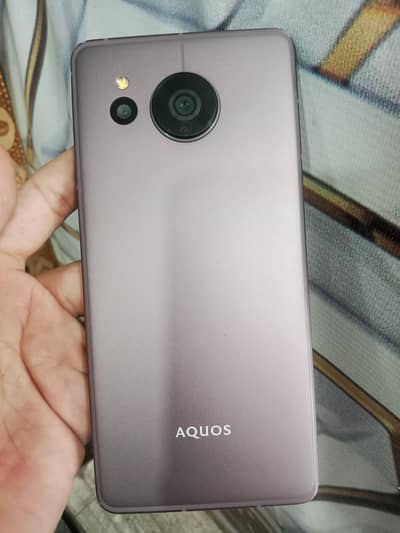 Aquos sense 7 plus