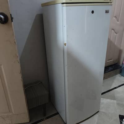 SG freezee