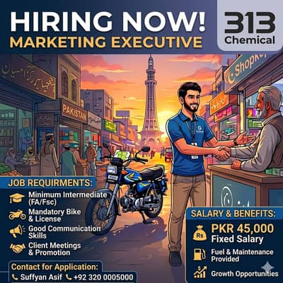 MARKETING EXECUTIVE