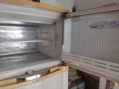 Waves Freezer condition 10/10