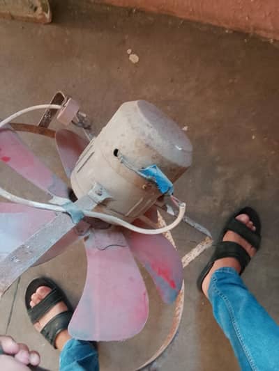fan chalta ha 100 percent copper ha