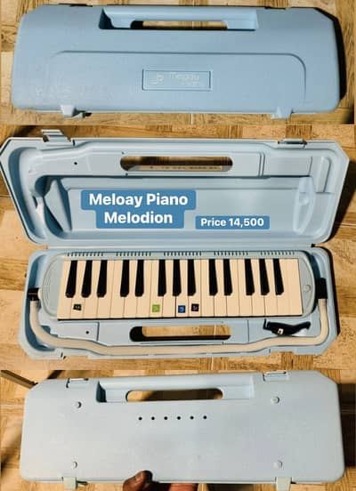 Melodion With hard case /Grand Piano / Keyboard / Guitar / Amplifier