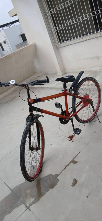 Full size cycle for adults or kids perfect for summer vacation