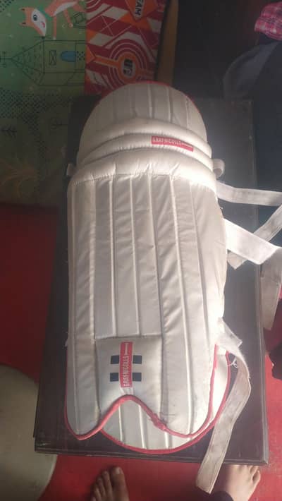 cricket hardball kit