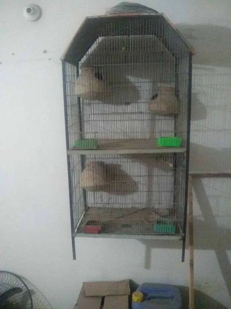 2 portion cage 0