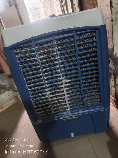 Full size plastic cooler for sale at economical price
