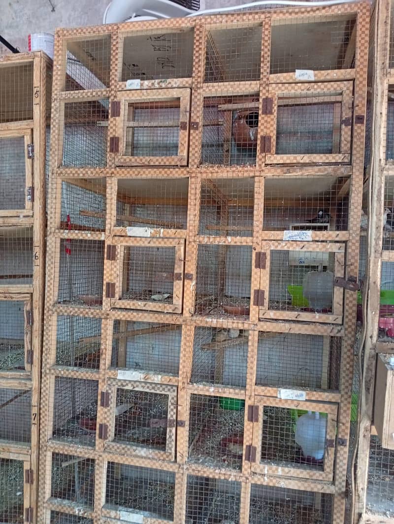 cages 2