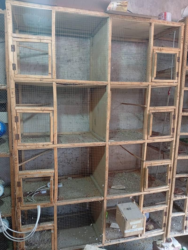 cages 3
