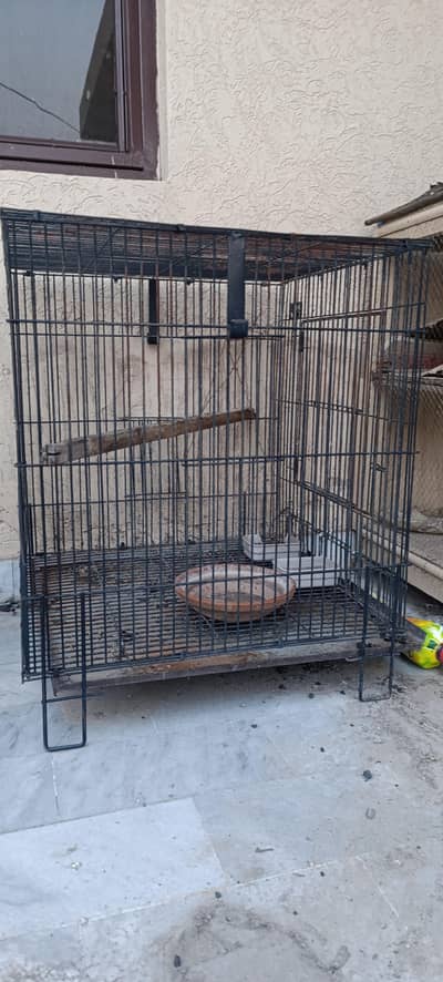 raw parrot cage