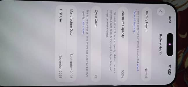 Apple iPhone 17 Pro Max