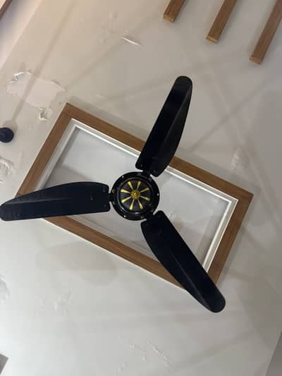 Ceiling fan