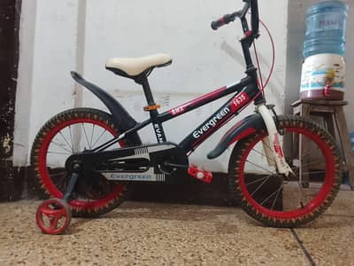 EVERGREEN IMPORTED CYCLE - 16 SIZE - 0320/2257/271