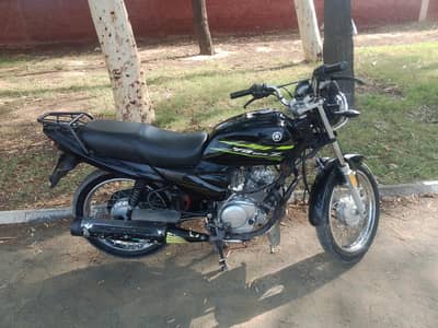 bike 10 by 10