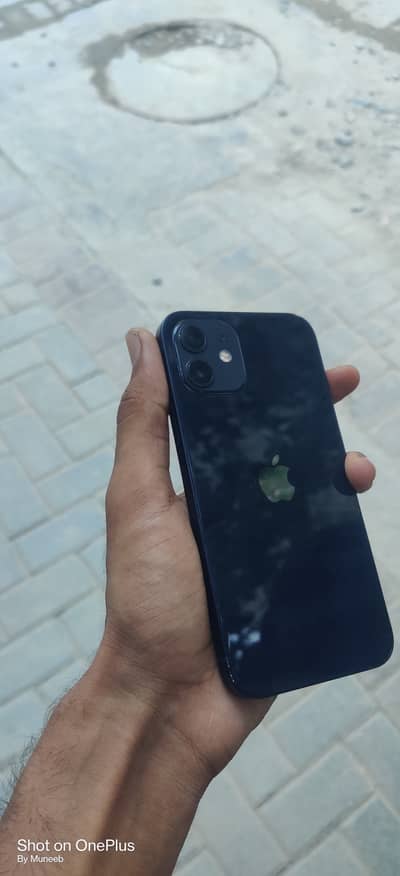 Apple iPhone 12