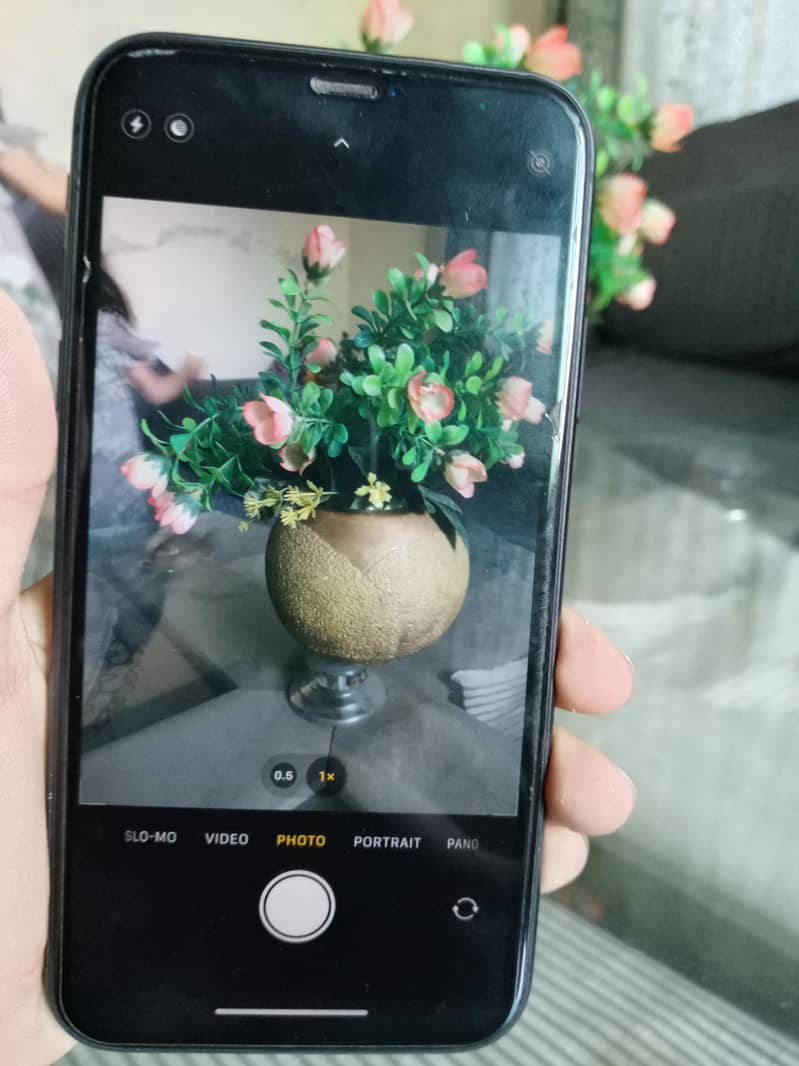 Apple iPhone 11 jv 6