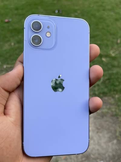 Apple iPhone 12