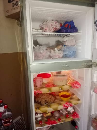 PEL Refrigerator for sale