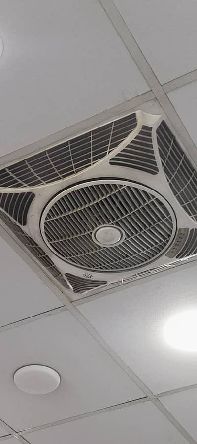 celling fans for sale in low price