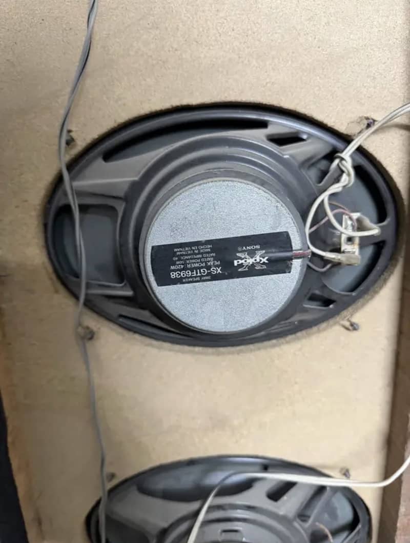 Pineeor and sony 2