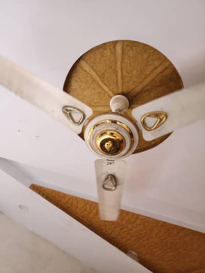 3 fans for sale