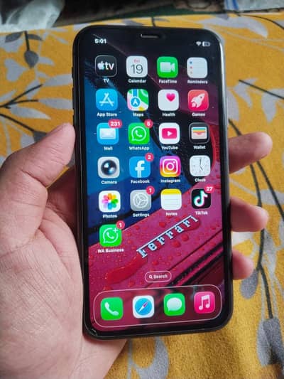 Apple iPhone 11 Water Pack