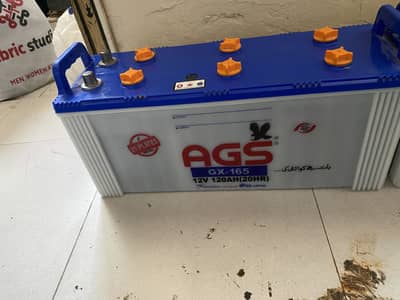 AGS 120 v 2 Batteries