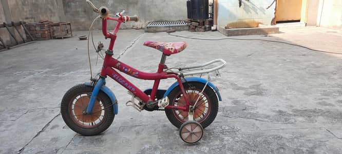 Dora Cycle for girls for sale