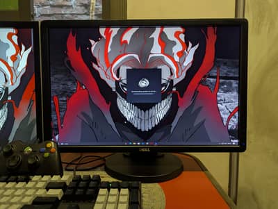 DELL P2213 22" Professional LED-backlight LCD Monitor