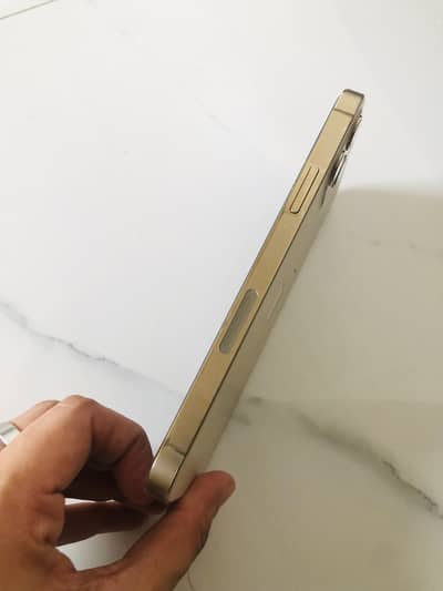 Apple iPhone 12 Pro
