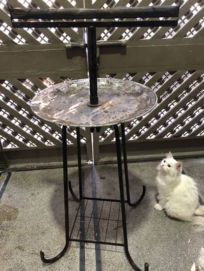 Parrot stand