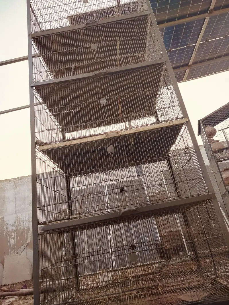 دو 5 پورشن والے لوہے کے پنجرے۔ — photo 10