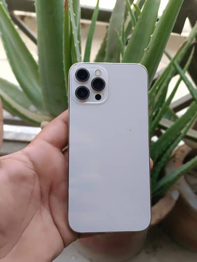 iPhone 12 Pro Max (pta). (97%). (128)  10/10