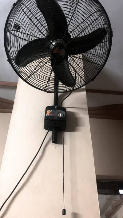 Royal Fan 10/10 condition very rarely used less than 2 months
