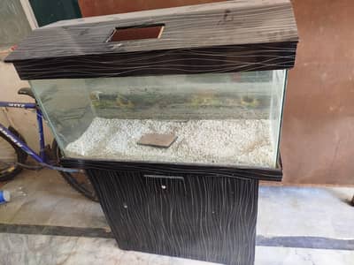 need offer fish acquriam for sale
