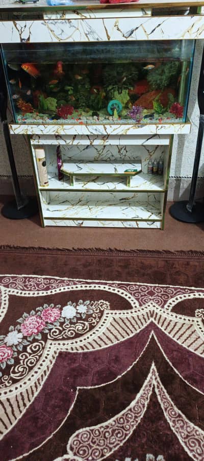 Fish Equarium 3 foot size
