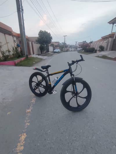 Super company cycle
